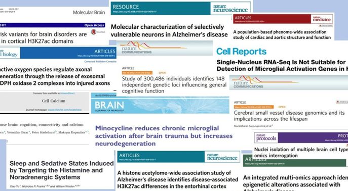 Collage of paper titles