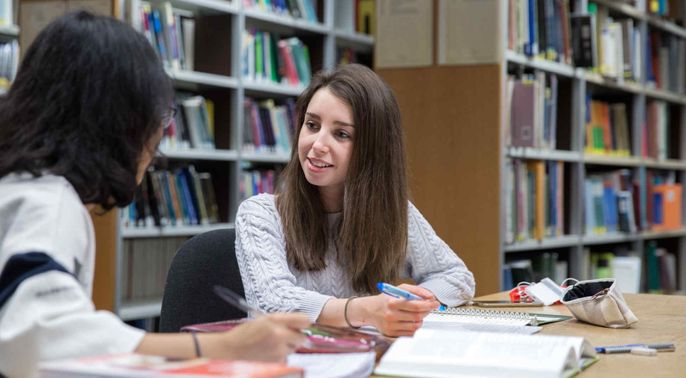 Students at work in the library