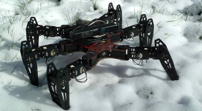 Hexapod robot with a broken leg