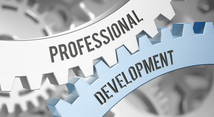 Professional Skills Development