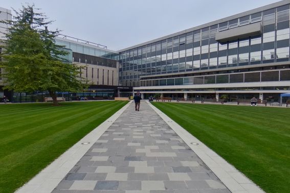 Path across grass on the Dangoor Plaza.