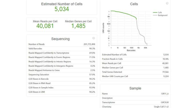 Report example