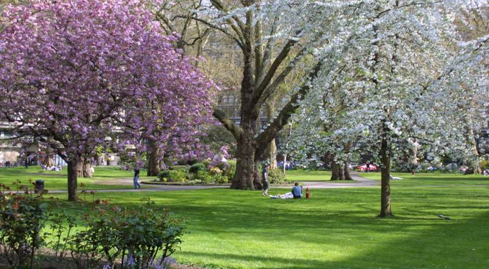 Princes Gardens