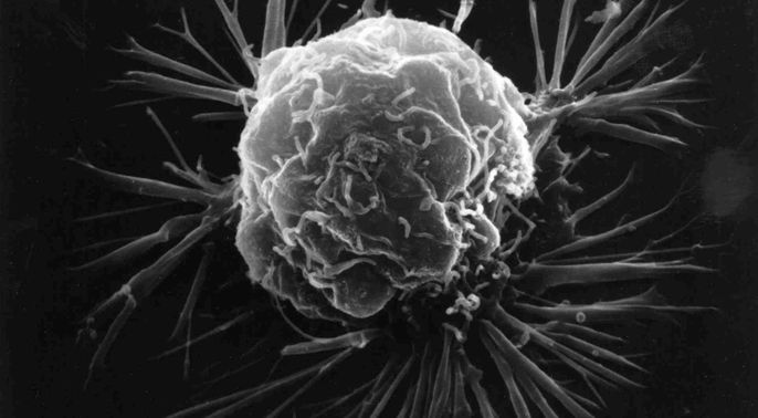 Improving cancer treatments
