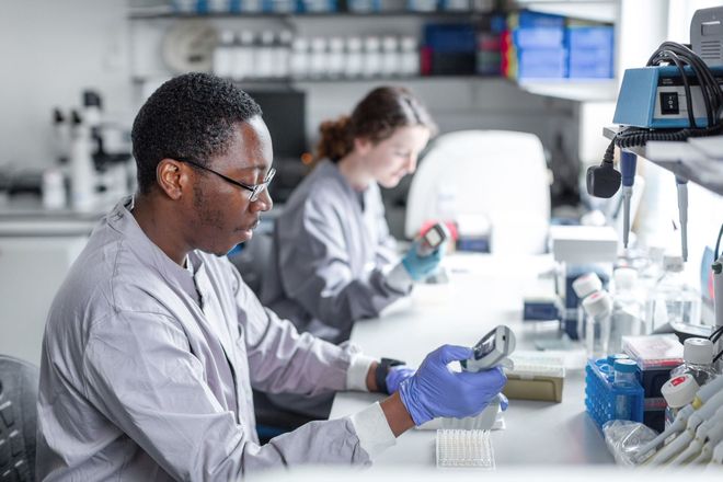 Researchers work at a bench in a laboratory