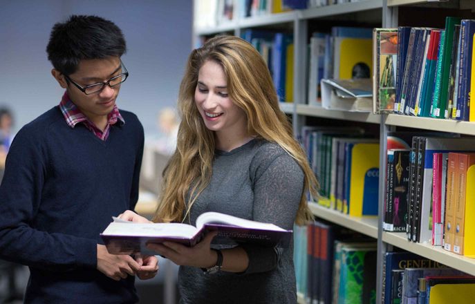 Students in the Library