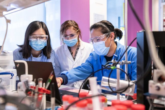 Yuxi Cheng, Lukeriya Zharova and Kai Xie, Research Postgraduates in the group of Professor Molly Stevens, Department of Materials. The students are working on research in the lab (B615).