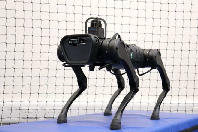 Quadruped Robot A1 from AIRL Lab