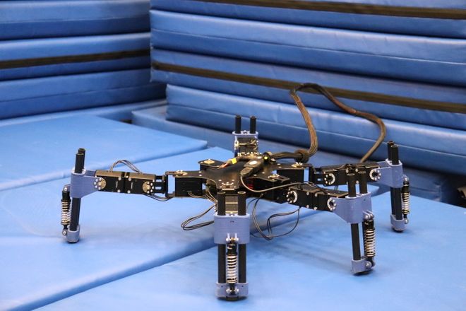 Hexapod Robot from the AIRL Lab