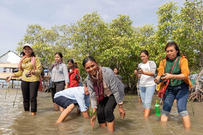 A picture of Women plant mangroves on the coast of Cambodia. Photo by: Manuth Buth / UNDP Cambodia / CC BY-NC
