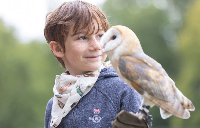 Boy with owl