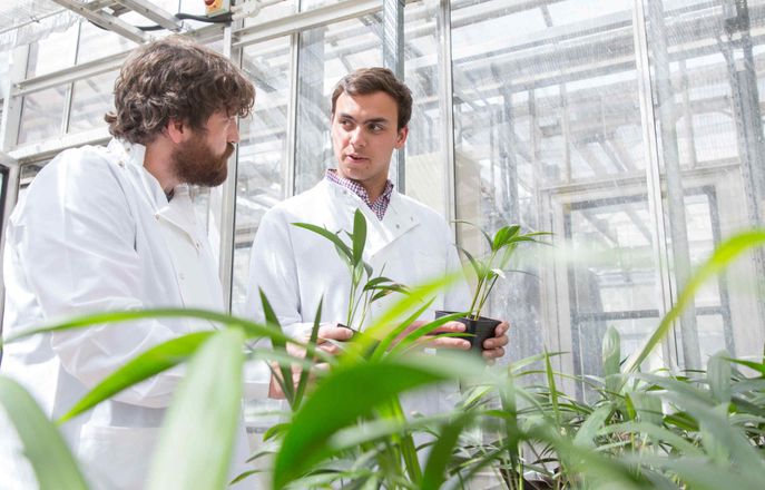 two researchers with plants in lab