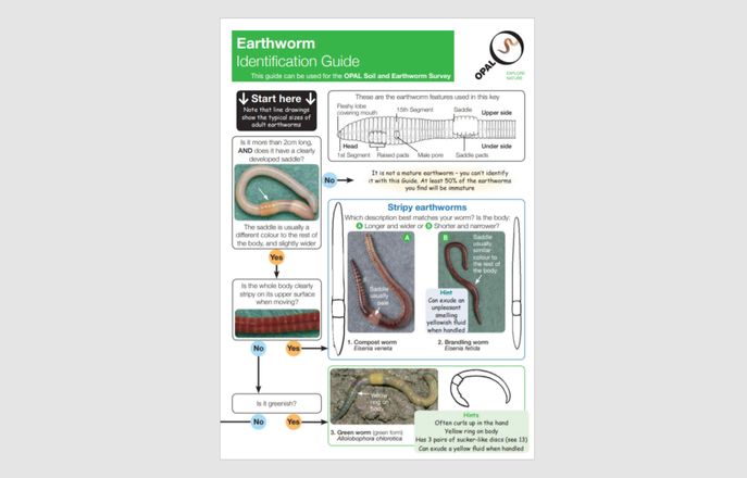 earthworm guide
