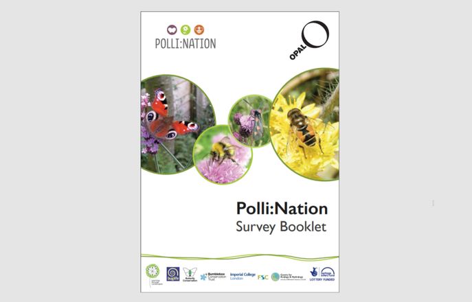 pollination survey booklet