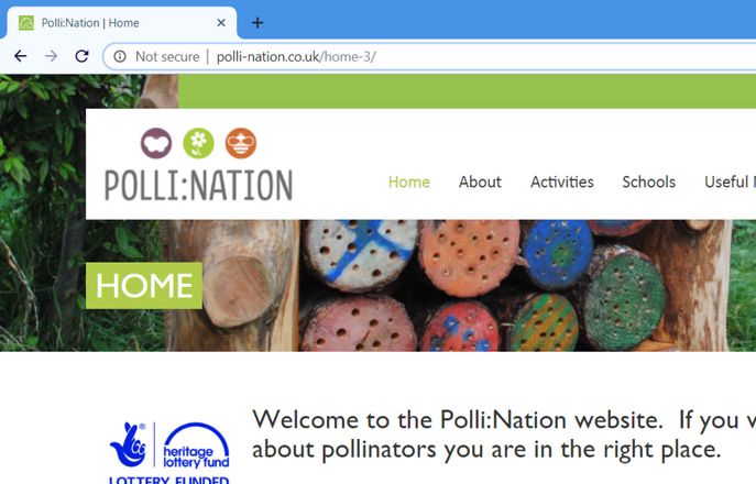 pollination website