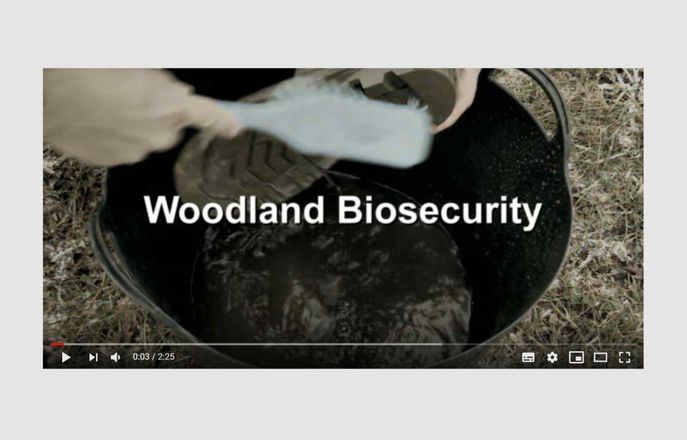 woodland biosecurity