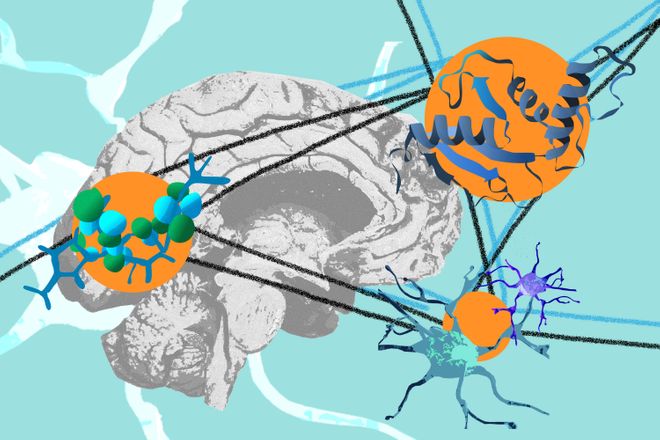 Graphic illustration of different resolutions of structural biology