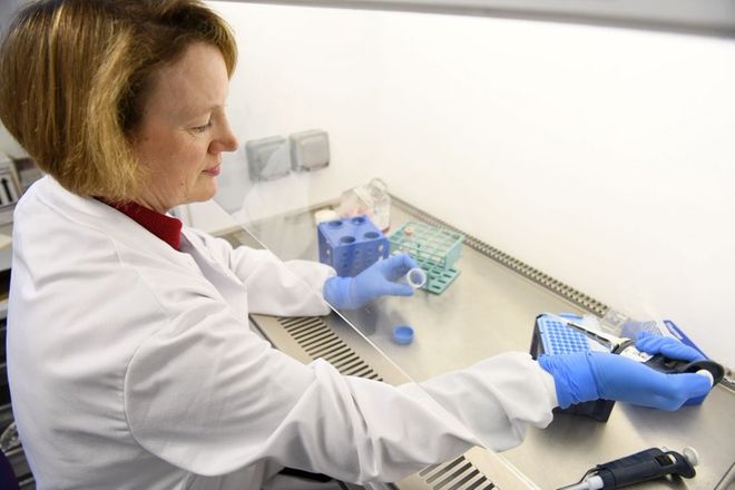 A researcher in a lab coat works fume hood