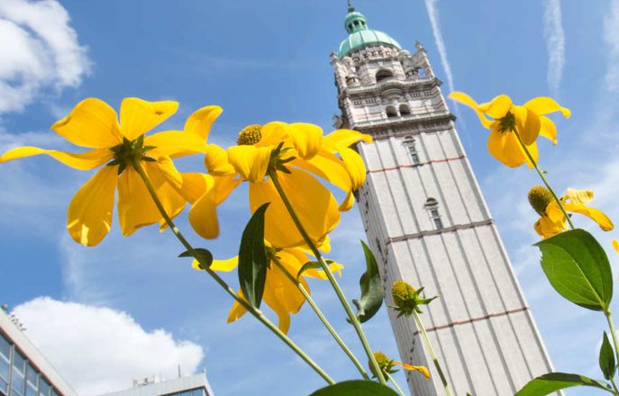 queens tower in the summer