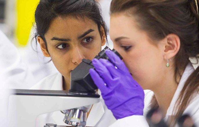 PhD Students with a microscope