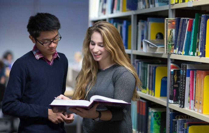 Students in the library