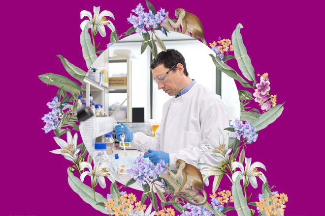 75th Anniversary - Tom Bell purple imagery