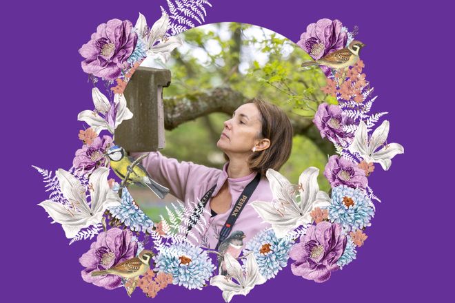 75th Anniversary - Cristina Banks-Leite purple imagery