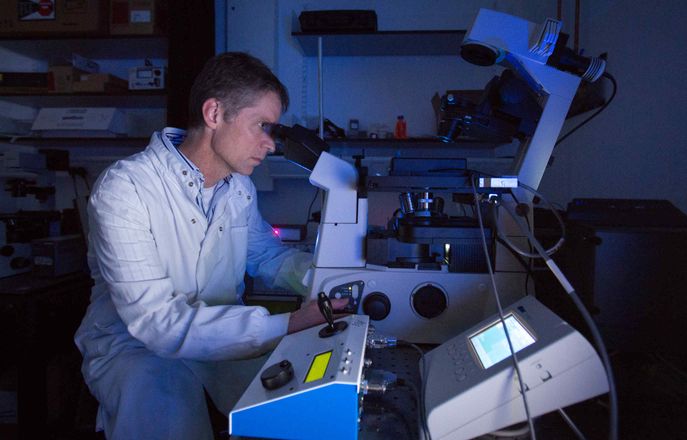 Prof Guy Rutter and Dr Pauline Chabosseau undertake confocal imaging