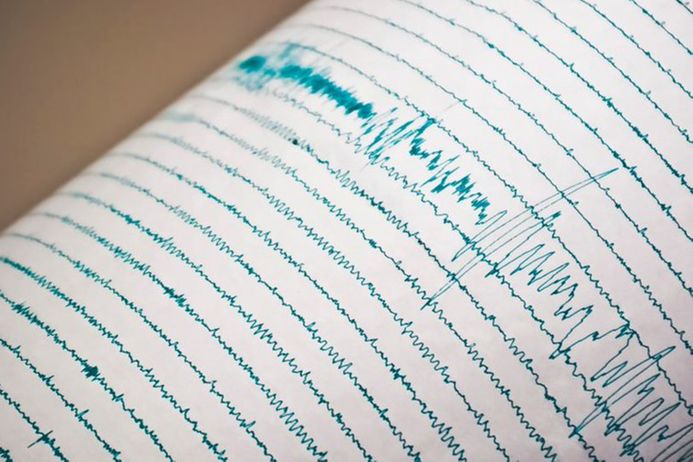 Seismometer reading