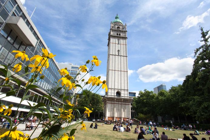 Queen's lawn in the sunshine with daffodils