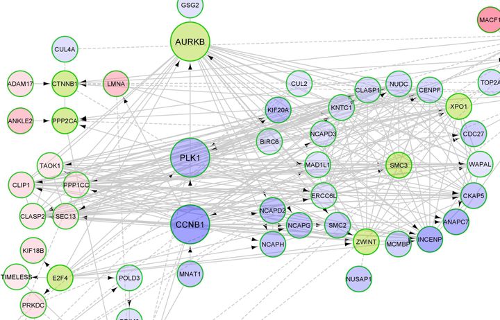 Image of network analysis