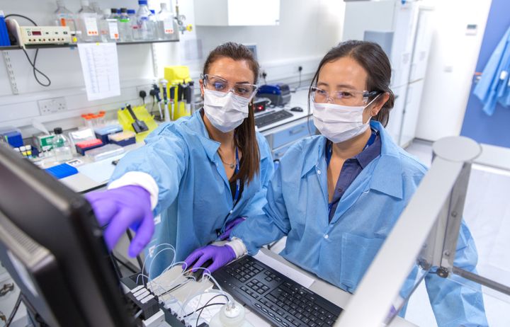 Students looking at screen in lab