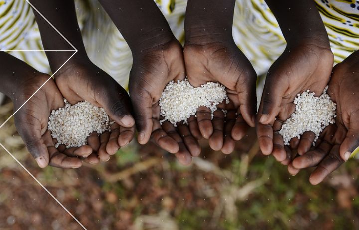 People holding rice