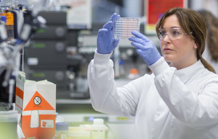 A researcher looking at samples in a lab