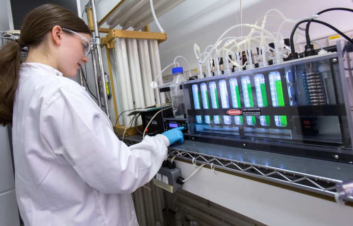 Researcher working in a lab