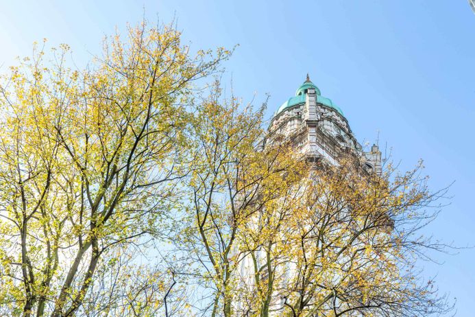 campus in autumn