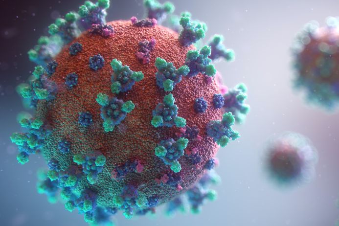An illustration of the Sars-Cov-2 virus