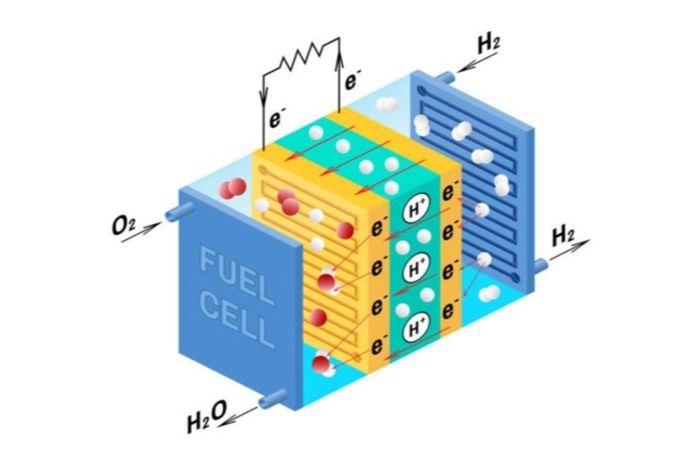 Sketch of the processes occuring within a hydrogen fuel cell
