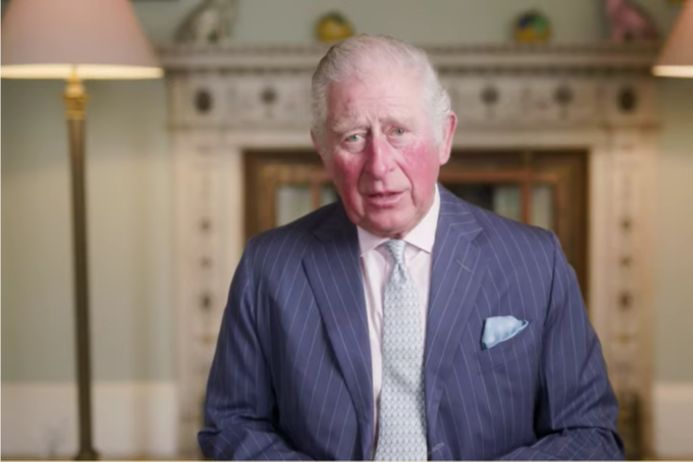 Headshot of Prince Charles