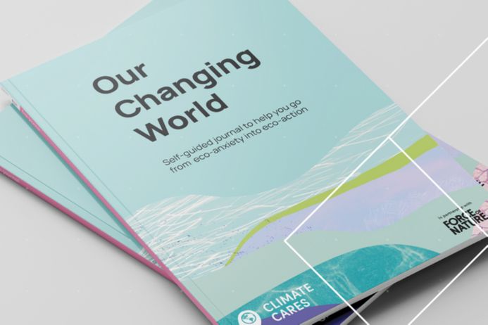 Two booklets for IGHI's Climate Cares work, with branding