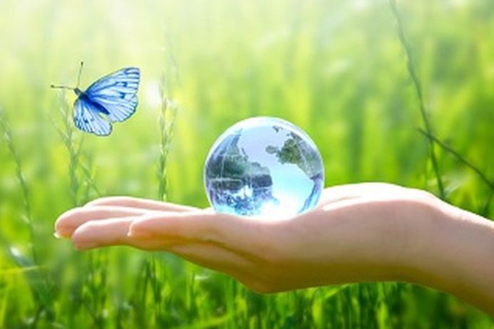 Hand holds a globe with a butterfly nearby