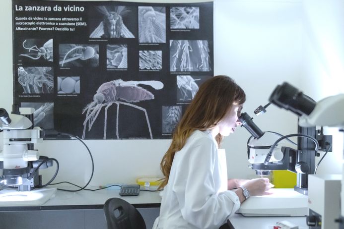 A malaria researcher with a poster of mosquitos
