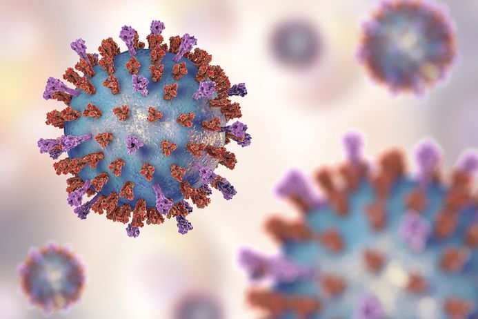 Respiratory syncytial virus (RSV), 3D illustration which shows two types of viral surface spikes