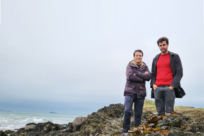 Two men stand near the ocean, standing on seaweed