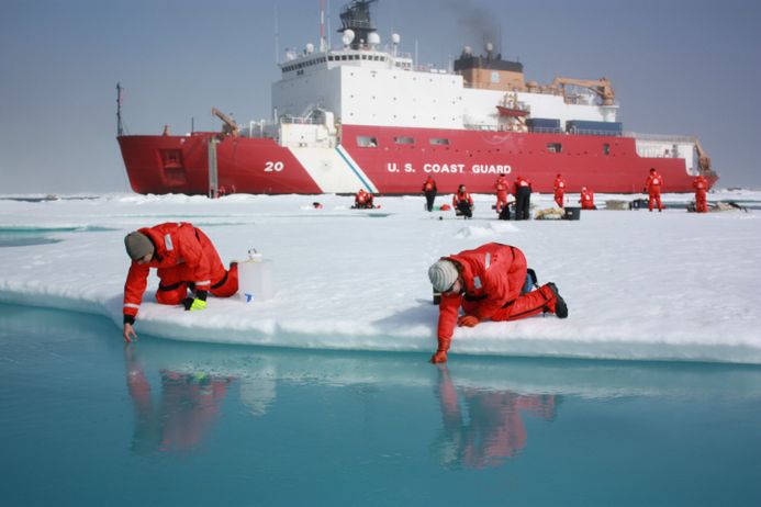 Scientists scoop  water from melt ponds on sea ice in the Chukchi Sea as part of the ICESCAPE mission