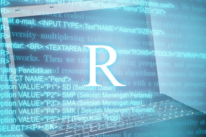 A picture of a laptop screen with the letter R displayed