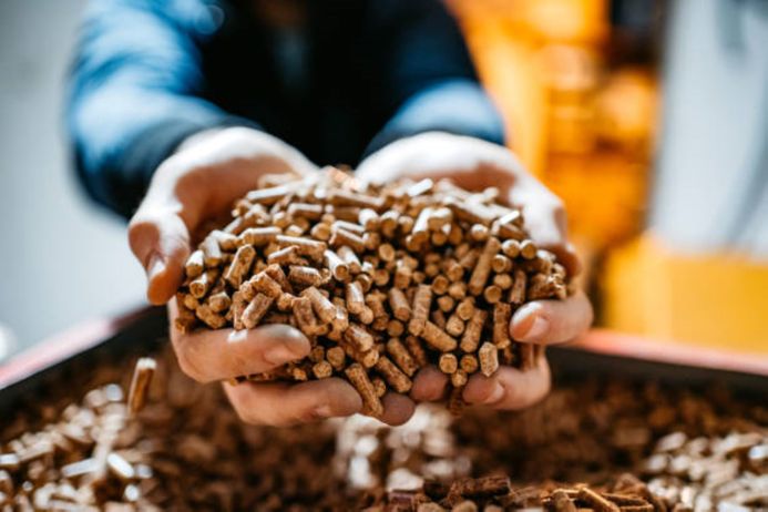 Biomass pellets held in bare hands