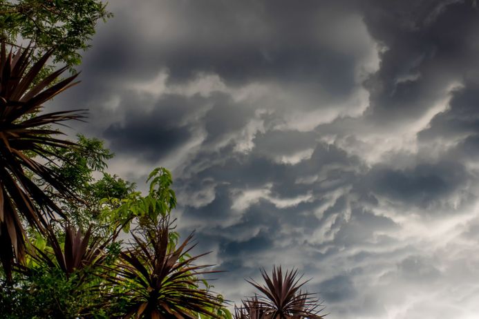 storm clouds above a tree in a tropical area