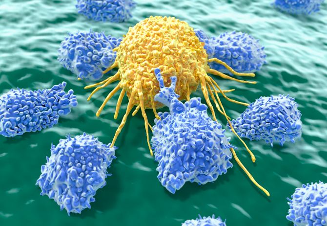 Natural Killer cells attacking a cancer cell