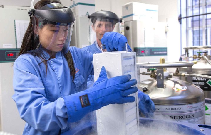 Professor Robin Shattock and a colleague working in the lab with face visors on